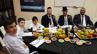 ט"ו בשבט ברדיו קול ברמה | תשע"ז (צילום: איציק מימון)