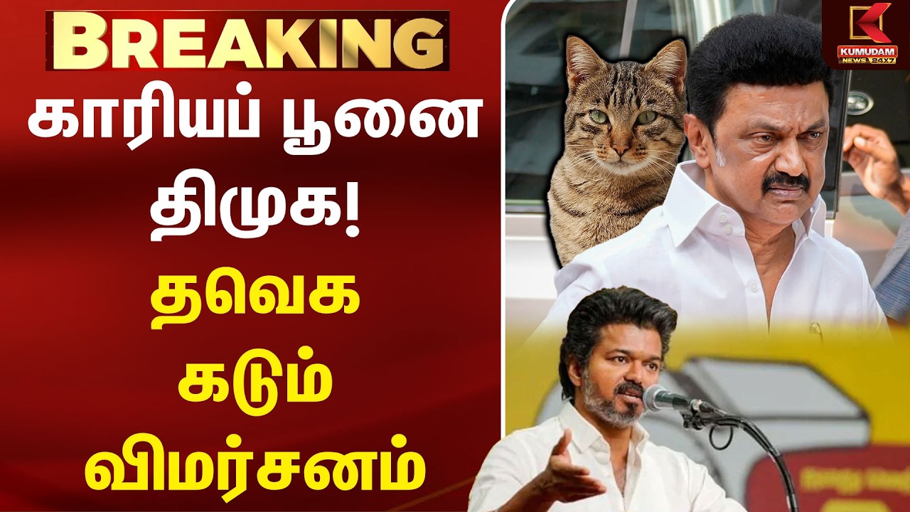 காரியப் பூனை DMK !