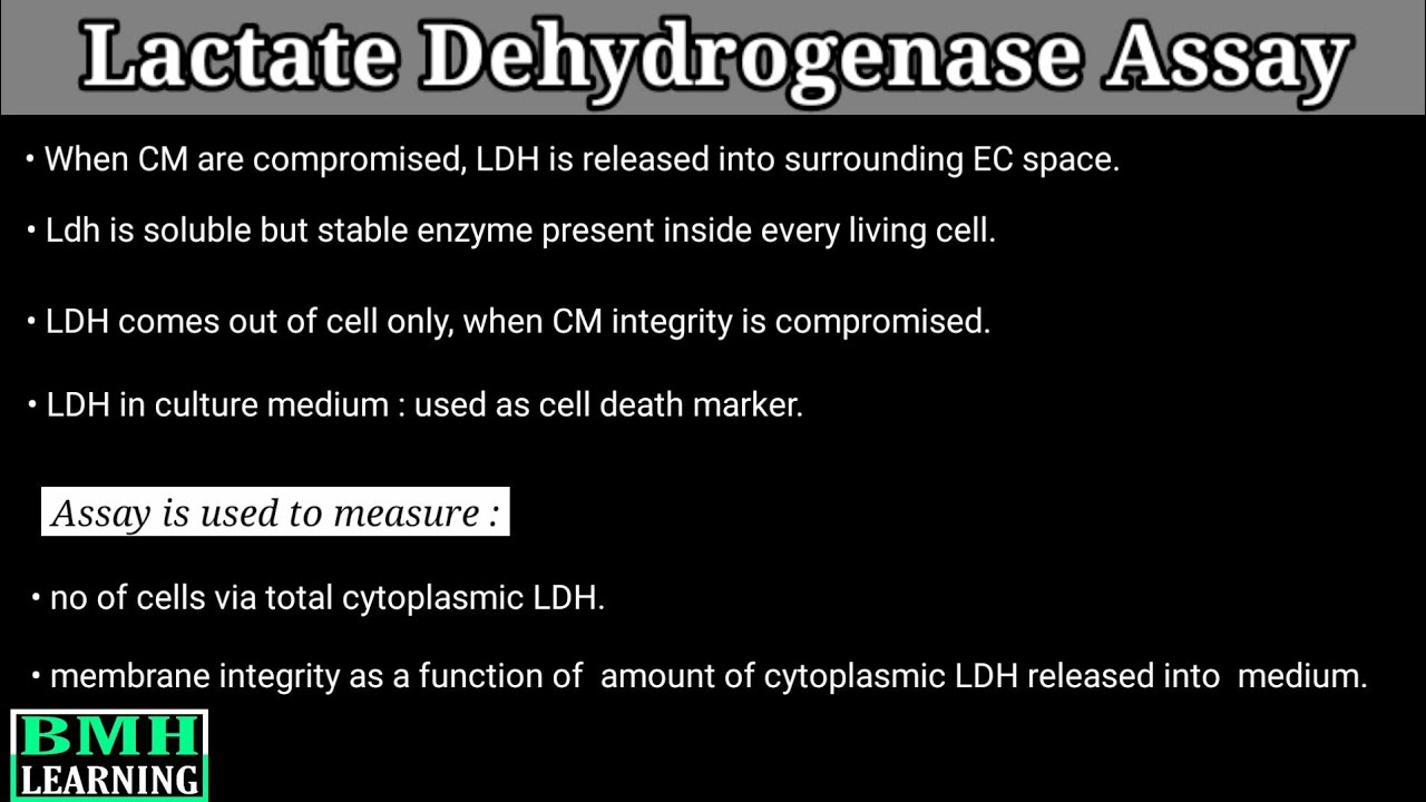 What does the LDH assay measure? Tipseri