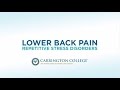 Home Remedies: How To Relieve Lower Back Pain