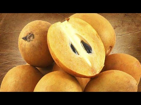 No sugar Sapota Milkshake with Apiary Honey🐝