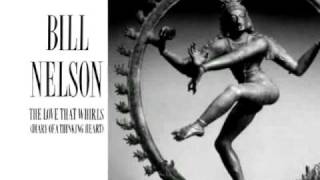 Bill Nelson - The Love That Whirls Comp