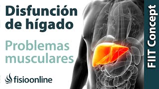 Mal funcionamiento del hígado - Problemas articulares y musculares que puede provocar