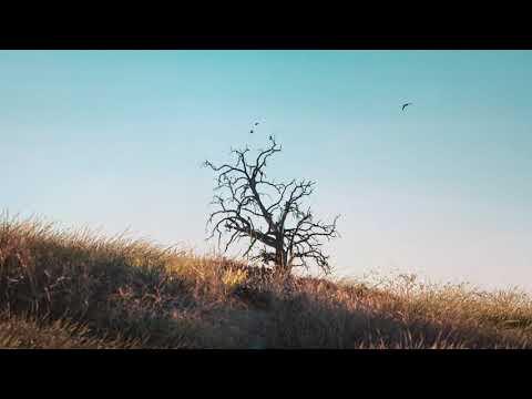 Video thumbnail for Our Painted Sky