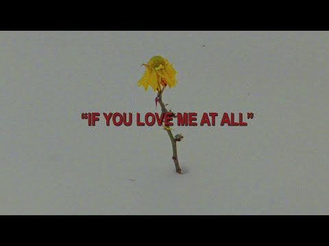 Hollyn - If You Love Me At All (Official Music Video)
