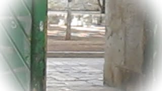 משנכנס אב ממעטים בשמחה  - חלק ה @rabi_erez_malka