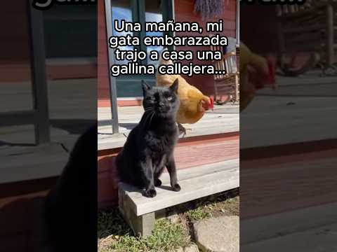 Al amor no le importa la especie ❤️