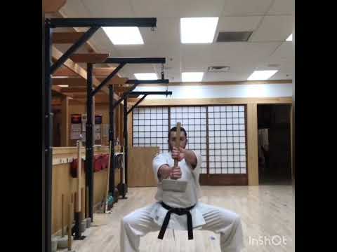 Okinawa Gojuryu Hojo Undo pt.1