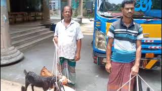 মৎস্যজীবীদের মাঝে ৮০ টি ছাগল প্রদান ।