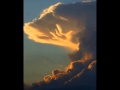 Julee Cruise - Mysteries of Love (Blue velvet ...