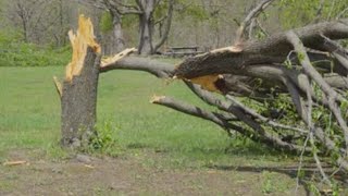 First Alert Weather: Thunderstorm damages building near Camdenton, Mo., airport