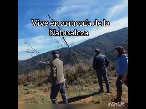 Video de la propiedad
