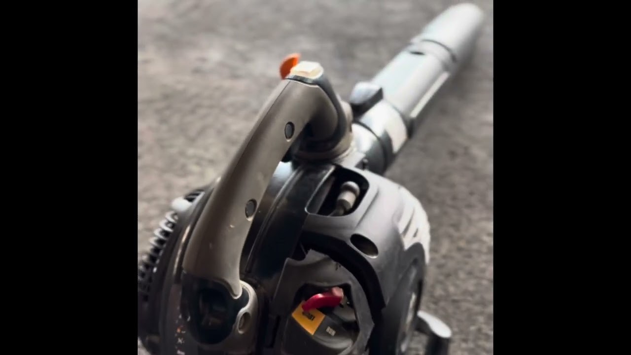 Souffleur à feuilles