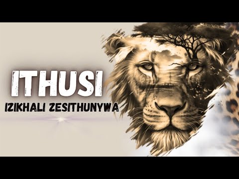 Ithusi @EMAKHOSINI.ISITHUNYWA.SAMANZI