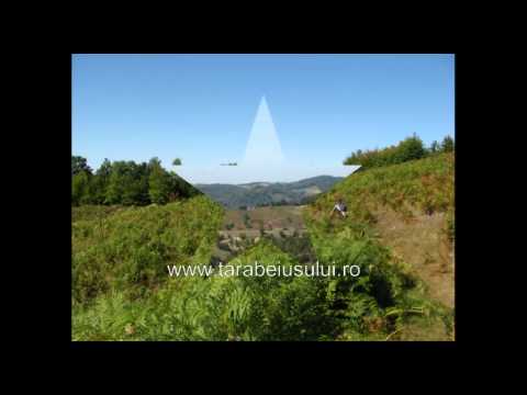 Beius Meziad Sohodol Lazuri de Rosia Rosia Beius