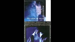 Spinetta - Yo quiero ver un tren (en vivo) 1991