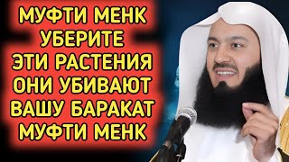 Эти 3 невинно выглядящих растения разрушают ваш дом — Муфтий Менк