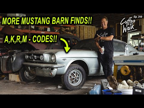 Thumbnail for Barn Find: 4 Incredibly Rare Mustangs!! by Car