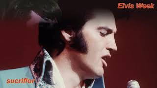 ELVIS PRESLEY - WOMAN WITHOUT LOVE