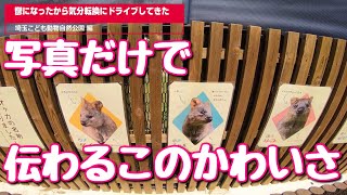 鬱になったから気分転換にドライブしてきた③