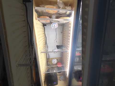 How to build a Drying Chamber for Salami, Salumi and Cheese