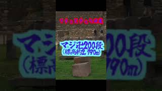 標高2,790mで階段200段上ったら…衝撃の展開に!?絶叫ペルー旅🇵🇪