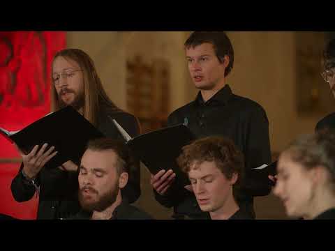 Suita Corala - Achim Stoia