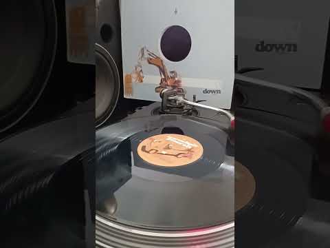 THE TRUTH .LAWCHAIR GENERALs