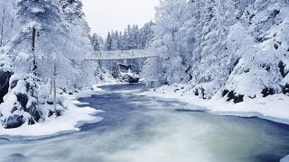 Sabia Naturaleza y sus Increibles Paisajes