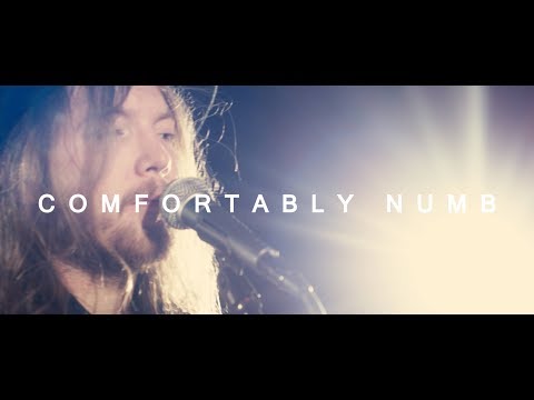 Comfortably Numb (Pink Floyd Cover) - Woodley Taylor