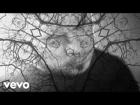 Chimaira - Wrapped In Violence