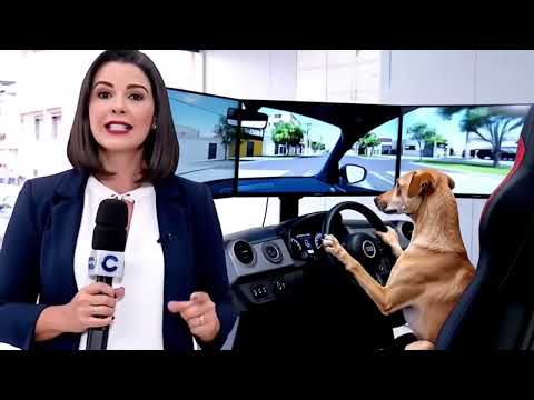 Capítulo 5: Social Media com IA