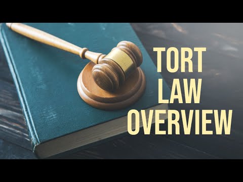 An Overview to Tort Law
