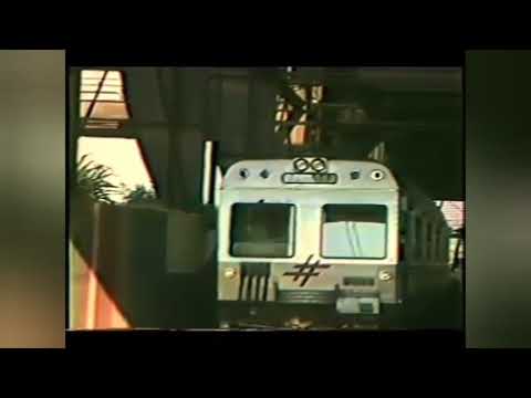 Fepasa S/A Anos 80. Trens : Toshiba , Fepasão , Loba.