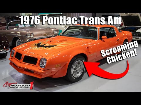 1976 Pontiac Firebird Trans Am (CC-1856821) for sale in Rogers, Minnesota