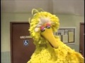Classic Sesame Street What S Your Name