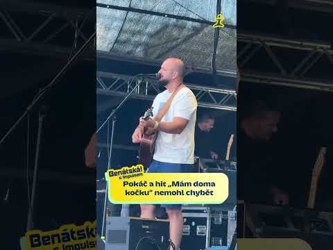 Pokáč a jeho hit „Mám doma kočku“ 🐱 🎤