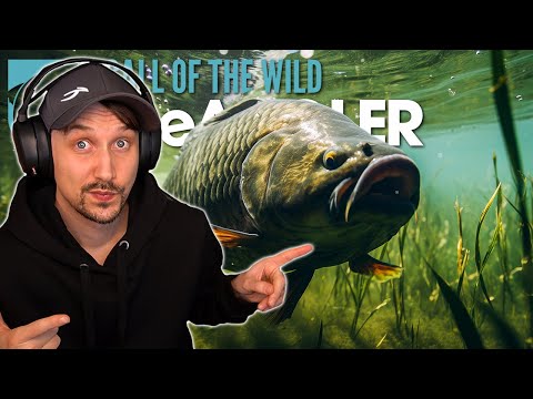Ich war Karpfen angeln in Spanien! Call of the Wild the Angler neue Karte!