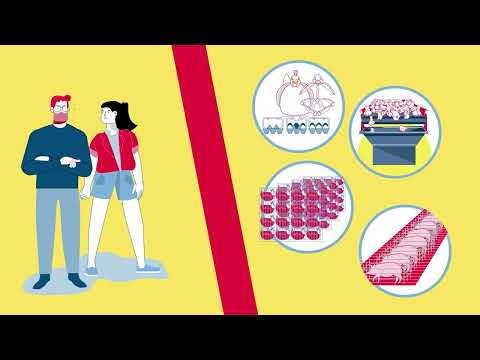 bpb Tierethik Film03 "Tiernutzung"