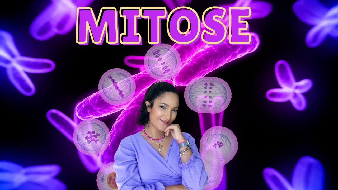 MITOSE - DIVISÃO CELULAR - (Prófase, Metáfase, Anáfase e Telófase) | Thaís Magalhães