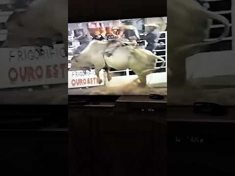 festa .de Américo de campos 1995.touro prazer Cia Paulo Emilio