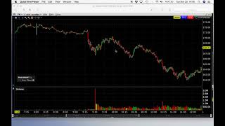 Brian Day Trading Review 20 March 2017