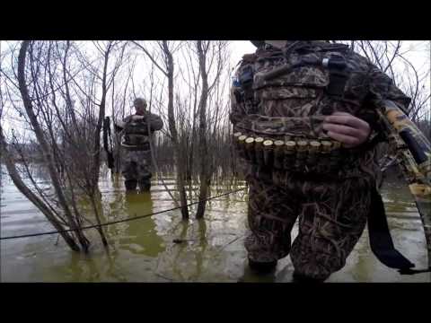 Archive 51 Video thumbnail