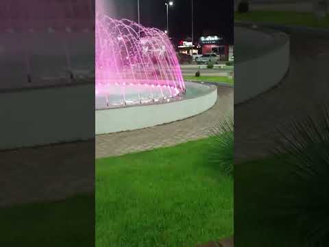 mata verde mg cheia de vida