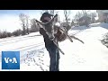 Deer Stranded On Pond Rescued By Police In Wyoming