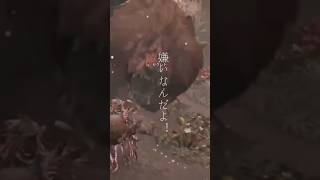 【モンハン×名言】いっちばん嫌いなんだよっ！【ドシャグマと高校生】