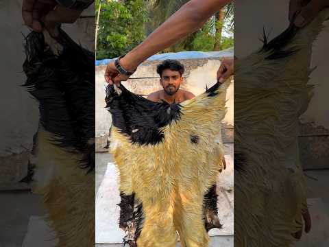 Traditional Craft | Handmade Drum with Rawhide | Start to Finish 🥁#shorts #ytshorts