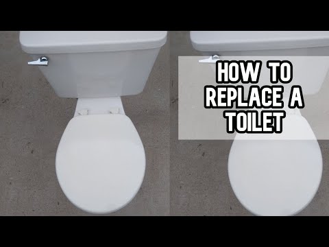 How to replace and install a toilet – Big Al Repairs