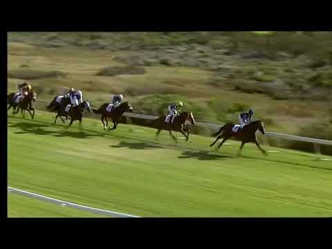 2019.01.05 Chairman's Cup (RSA) - Gimme One Night