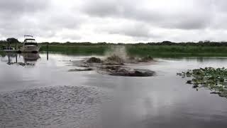 Download lagu River monster OMG scary moment mp3 Download lagu River monster OMG scary moment mp3